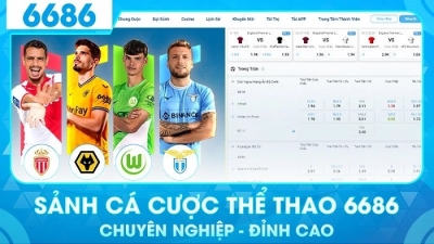 6686 - Nhà cái cược trực tuyến minh bạch và uy tín hàng đầu