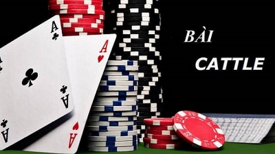 Catte là gì? Hướng dẫn cách chơi 6 vòng đấu đầy kịch tính