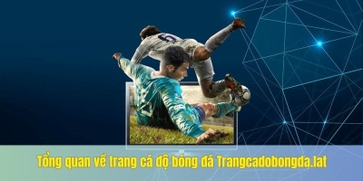 Đánh giá khách quan trang cá độ bóng đá Trangcadobongda.lat